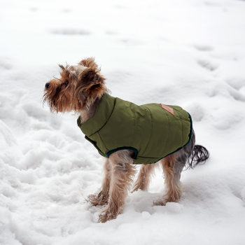 Зимняя куртка (жилетка) для выгула собак Hitvest M зеленый-4